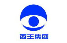 山東西王糖業有限公司.jpg