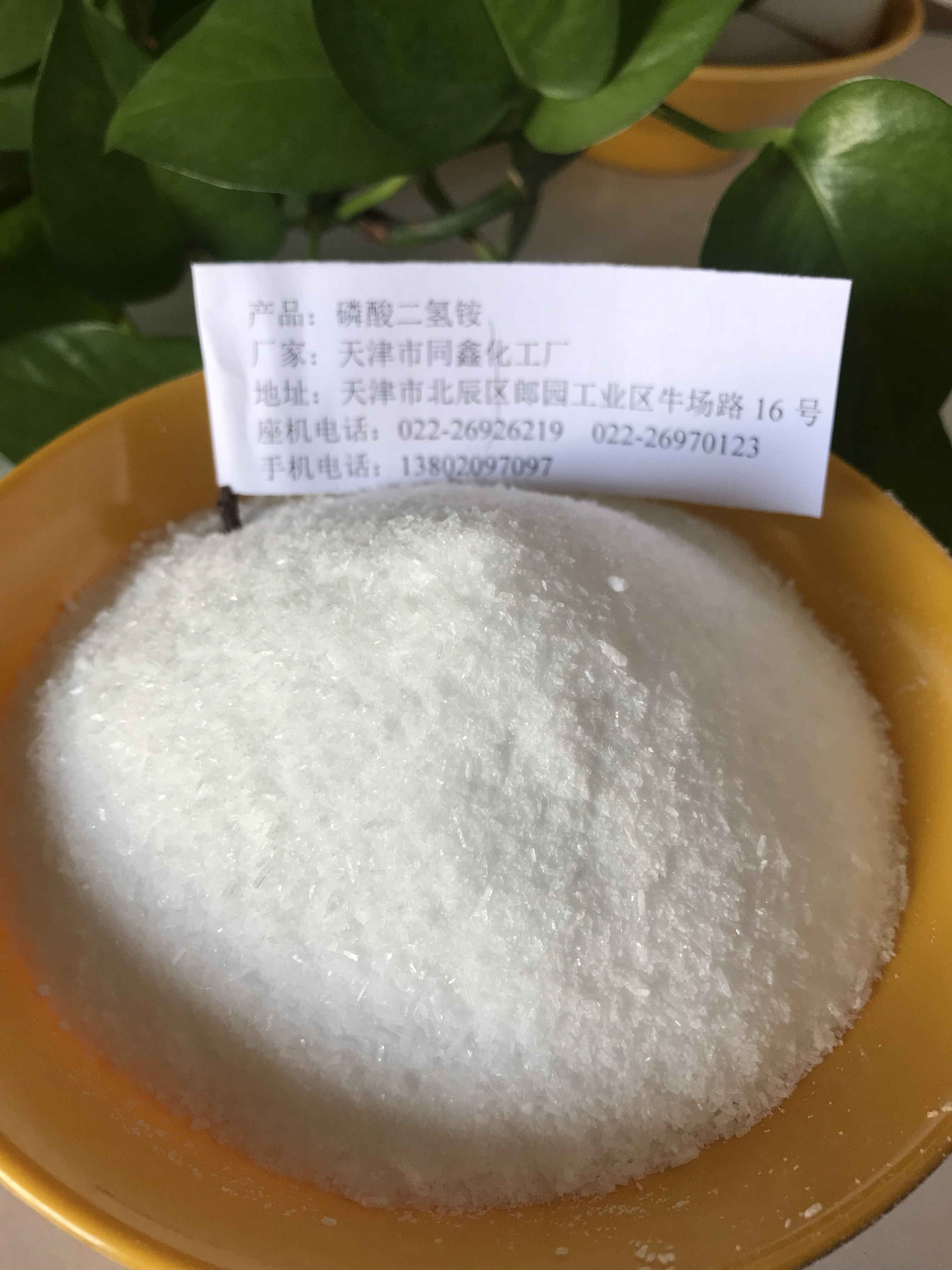 ç£·é…¸äºŒæ°«éŠ¨